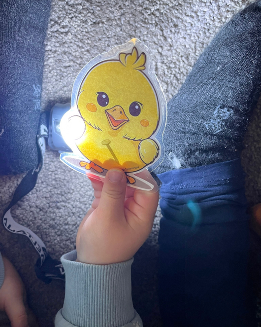 Mitä ihmettä tipu söi -taskulampputehtävä (MONE)