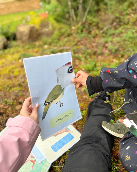 Materiaalia lasten lintuviikkoon 11.-17.5.2026
