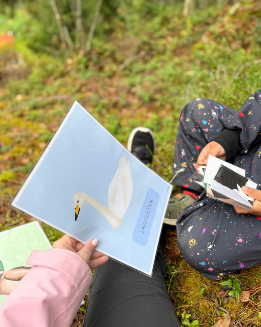 Materiaalia lasten lintuviikkoon 11.-17.5.2026