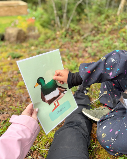 Materiaalia lasten lintuviikkoon 11.-17.5.2026