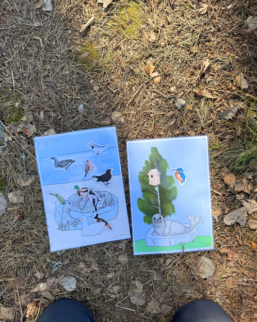 Materiaalia lasten lintuviikkoon 12.–18.5.2025