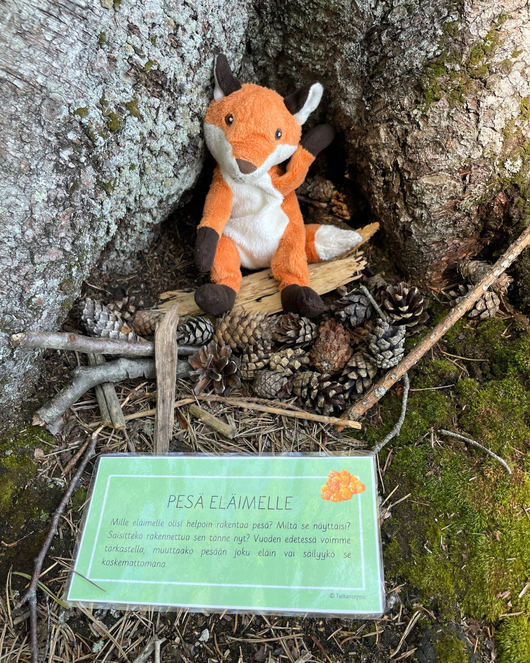27 metsätehtävää lasten kanssa