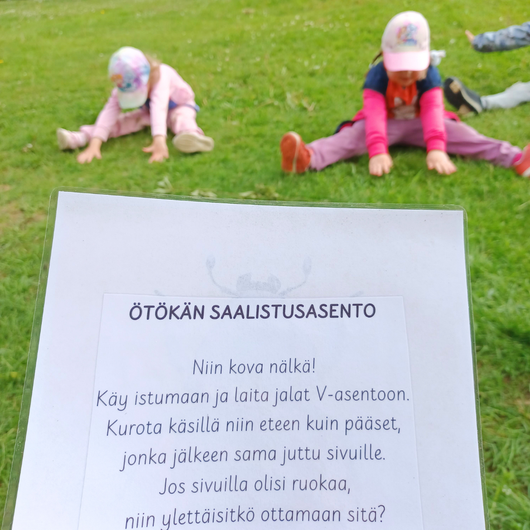 Eläinliikuntakortit osa 2 