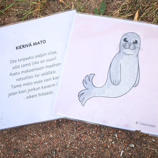 Eläinliikuntakortit osa 2 