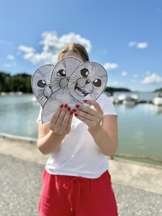 Suujumppakortit norpan kanssa 