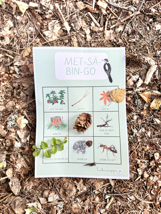 Metsäbingo (maksuton!)