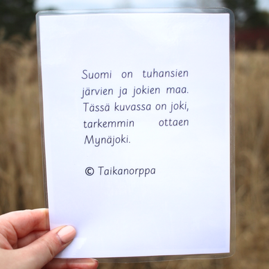 Kesävalokuvia kysymyksineen ja teksteineen