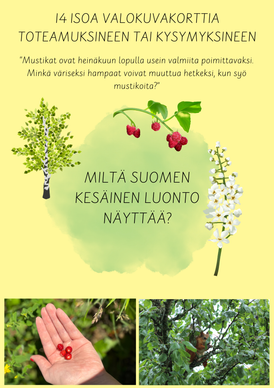 Kesävalokuvia kysymyksineen ja teksteineen