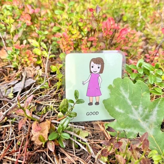 Daily routine cards: kids