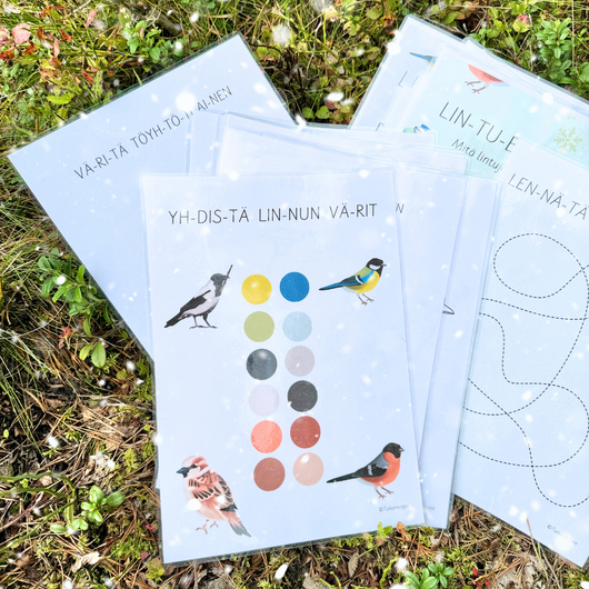 Materiaalia talvilintujen parissa (lasten pihabongaus 25.–26.1.2025)
