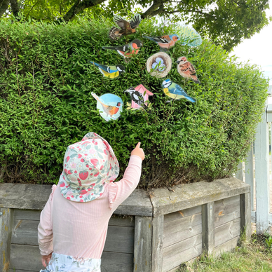 Lintulorut osa 1 (talvilintujen pihabongausta vietetään 24.–25.1.2026!)