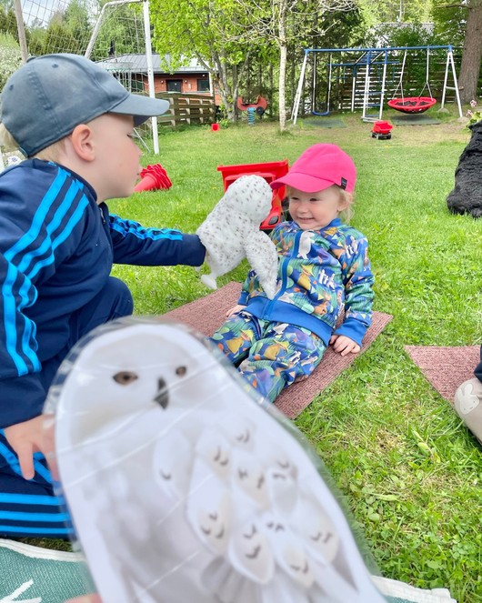 Lintulorut osa 2 (lintuviikkoa vietetään 18.–24.5.2026!)