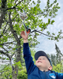 Lintulorut osa 2 (lintuviikkoa vietetään 18.–24.5.2026!)