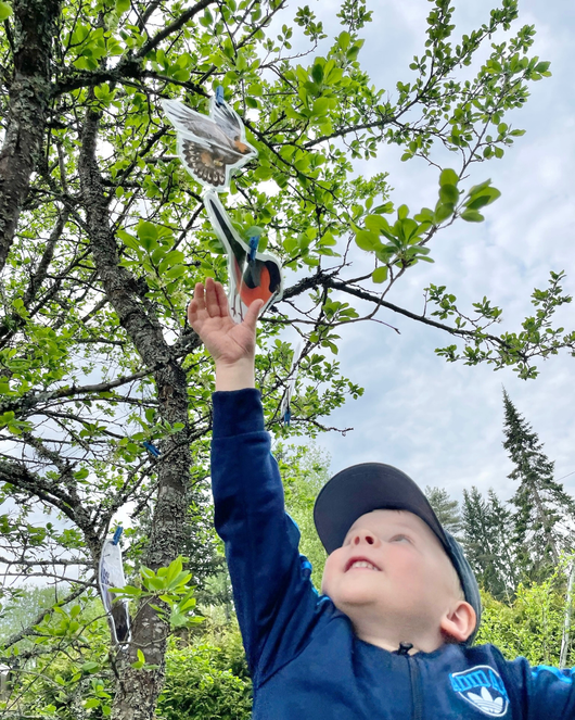 Lintulorut osa 2 (lintuviikkoa vietetään 18.–24.5.2026!)