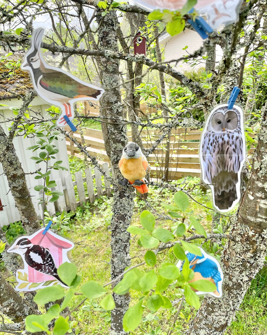 Lintulorut osa 2 (lintuviikkoa vietetään 18.–24.5.2026!)