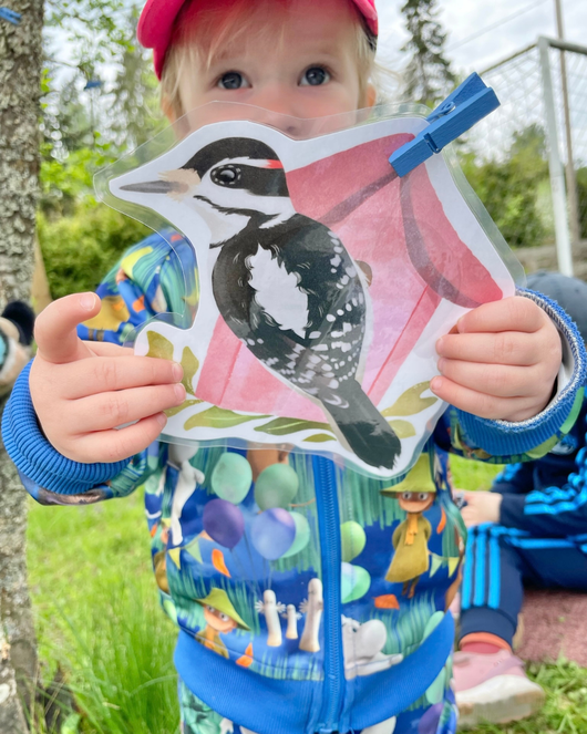 Lintulorut osa 2 (lintuviikkoa vietetään 18.–24.5.2026!)