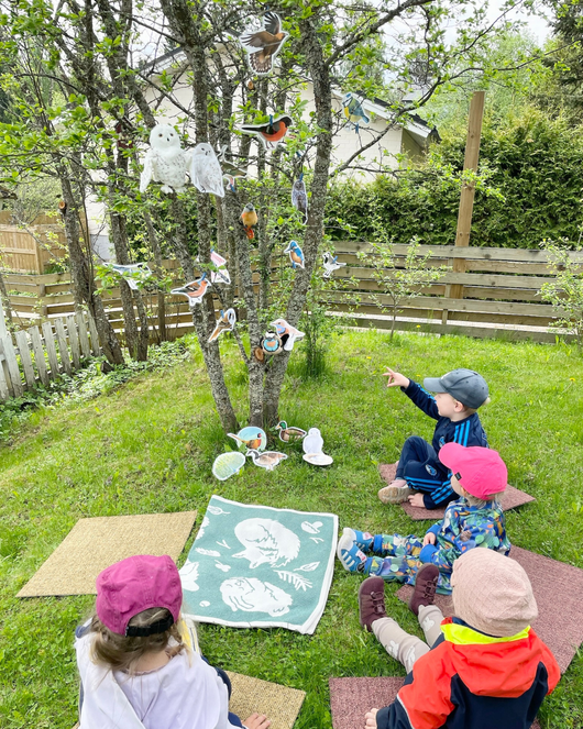 Lintulorut osa 2 (lintuviikkoa vietetään 18.–24.5.2026!)