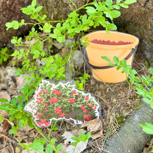 Metsälorut (sienilorut, marjalorut, sienestys, marjastus)