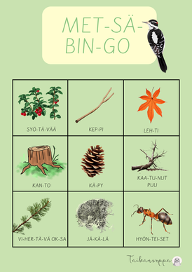 Metsäbingo (maksuton!)