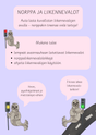 Norppa ja liikennevalot 
