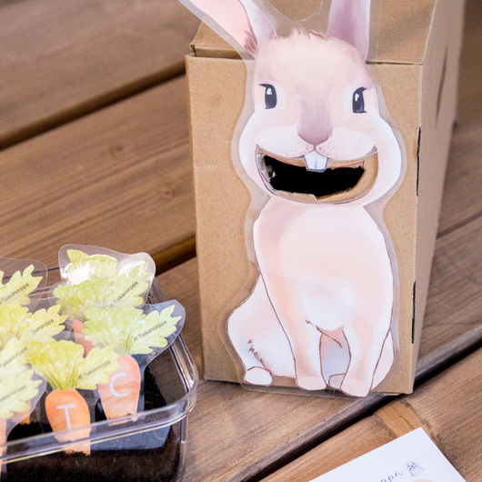 Pupu ja porkkanakirjaimet