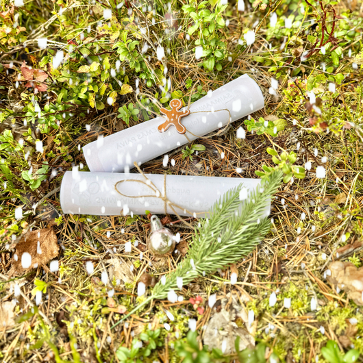 Jouluisia satuhierontoja - Saimaannorpan matkassa