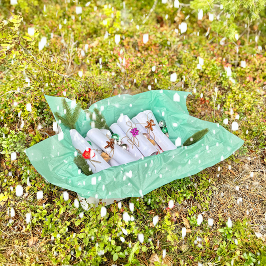 Jouluisia satuhierontoja - Saimaannorpan matkassa