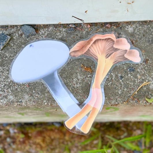 Metsälorut (sienilorut, marjalorut, sienestys, marjastus)