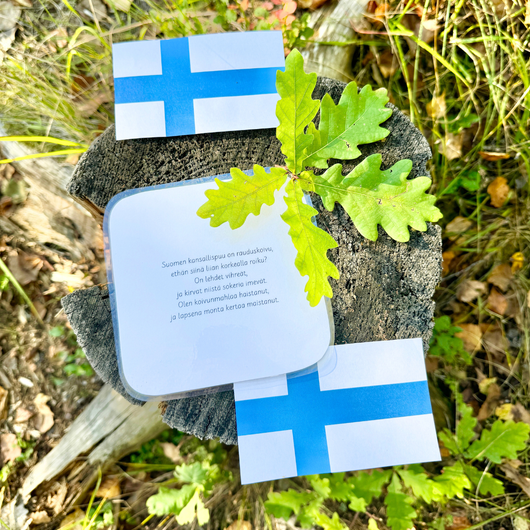 Suomilorukortit