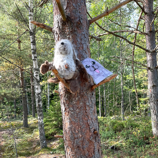 Suujumppakortit norpan kanssa 