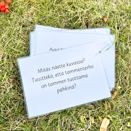 Syysvalokuvia kysymyksineen ja teksteineen