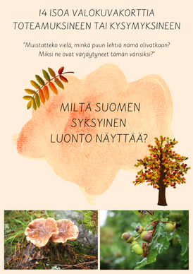 Syysvalokuvia kysymyksineen ja teksteineen