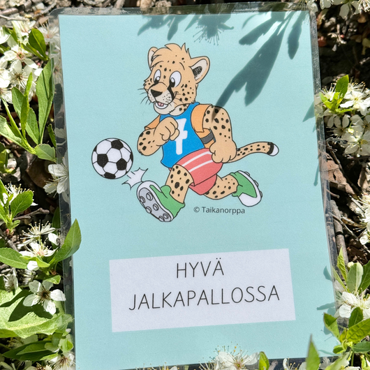 Vahvuuspaketti (3 tuotetta)