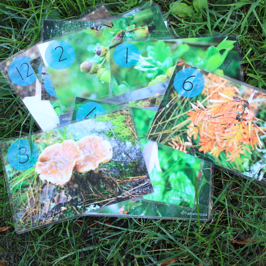Syyspaketti (3 materiaalia)