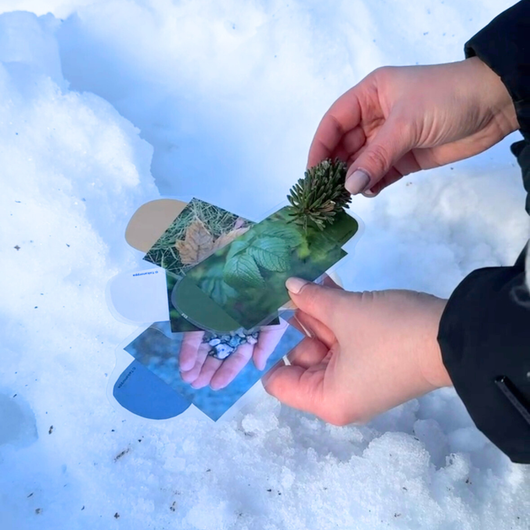 Väriliuskat luonnossa