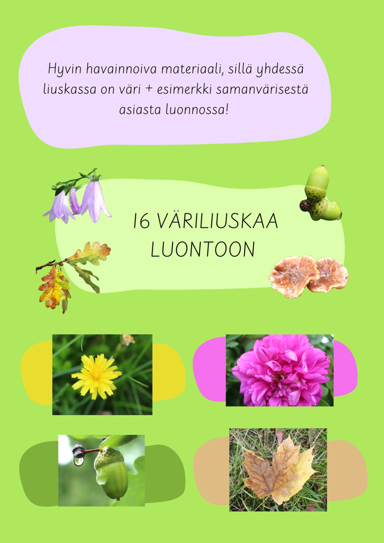 maksuton-kes-bingo-kes-seuranta-lapsille-taikanorppa-oy