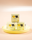 Koiran anturoiden hoito – miksi se on tärkeää ympäri vuoden