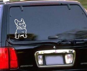 Heijastintarra Ranskan Bulldog