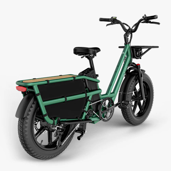 Sähköinen tavarapyörä FIIDO T2 Longtail Cargo, Forest Green
