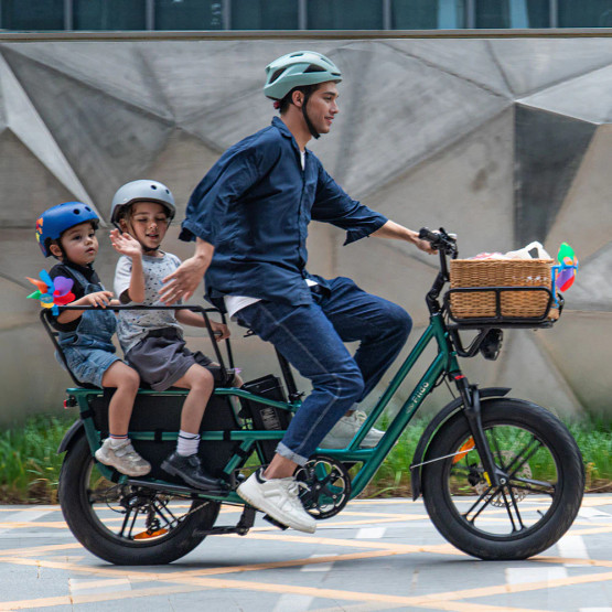 Sähköinen tavarapyörä FIIDO T2 Longtail Cargo, Forest Green