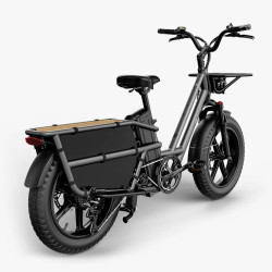 Sähköinen tavarapyörä FIIDO T2 Longtail Cargo, harmaa