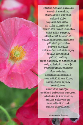 Postikortti - tänään toivon sinulle