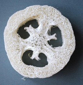 Luffa-kiekko saippuan aluseksi