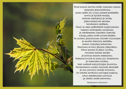 Toiverunosi A5-printtinä