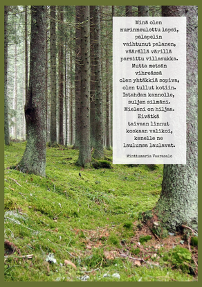 Toiverunosi A5-printtinä