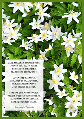 Toiverunosi A5-printtinä