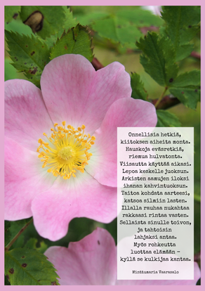 Toiverunosi A5-printtinä