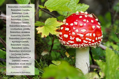 Postikortti - Rakastan