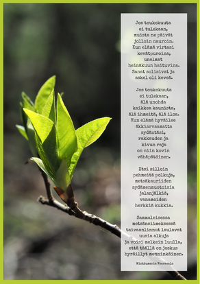 Toiverunosi A5-printtinä