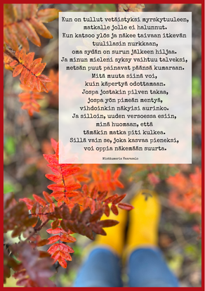 Toiverunosi A5-printtinä